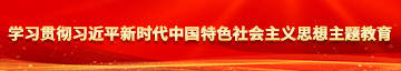 c逼美女视频学习贯彻习近平新时代中国特色社会主义思想主题教育